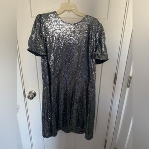 18 Tall sequin dress from Ann Taylor with puff sleeve